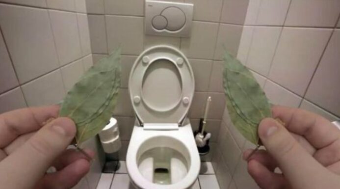 Evo zbog čega sam stavio lovorov list u WC: IZNENADIT ĆETE SE! Evo zbog čega sam stavio lovorov list u WC: IZNENADIT ĆETE SE!