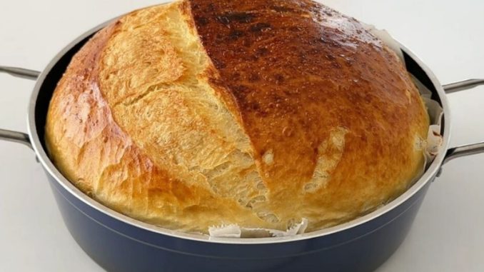 🥣 DOMAĆI HLJEB IZ ŠERPE – NEVJEROVATNO HRCKAVA KORICA I MEKANA, MIRISNA UNUTRAŠNJOST!miriše kao iz pekare