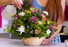 Feng šui – najbolje vrste cveća za vaš dom Feng šui - najbolje vrste cveća za vaš dom