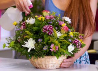 Feng šui – najbolje vrste cveća za vaš dom Feng šui - najbolje vrste cveća za vaš dom