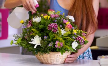 Feng šui – najbolje vrste cveća za vaš dom Feng šui - najbolje vrste cveća za vaš dom