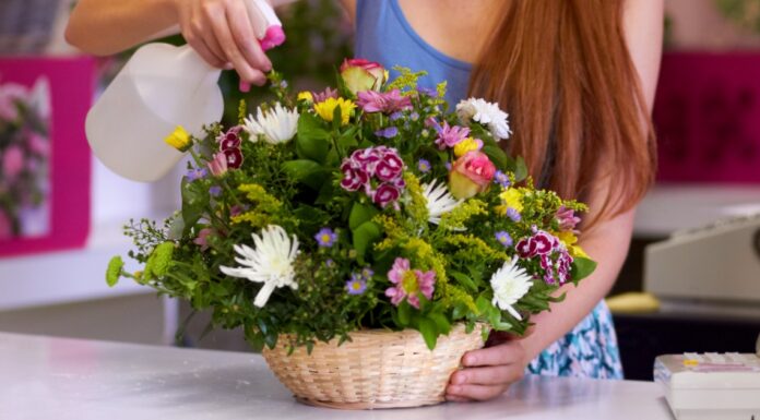 Feng šui – najbolje vrste cveća za vaš dom Feng šui - najbolje vrste cveća za vaš dom