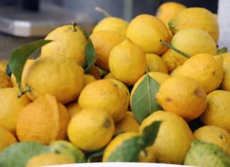 Jedite limun na ovaj način i zaštitite se od depresije i suvišnih kilograma Jedite limun na ovaj način i zaštitite se od depresije i suvišnih kilograma