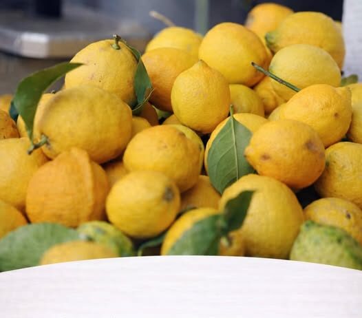 Jedite limun na ovaj način i zaštitite se od depresije i suvišnih kilograma Jedite limun na ovaj način i zaštitite se od depresije i suvišnih kilograma