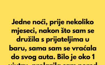 Jedne noći, prije nekoliko mjeseci, nakon što sam se družila s prijateljima u baru, sama sam se vraćala do svog auta. Jedne noći, prije nekoliko mjeseci, nakon što sam se družila s prijateljima u baru, sama sam se vraćala do svog auta.