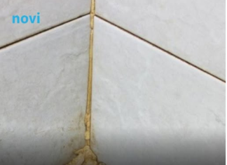 Kako da očistite ćoškove u tuš kabini? Razara kamenac, skine svu buđ i pločice čiste kao suza Kako da očistite ćoškove u tuš kabini? Razara kamenac, skine svu buđ i pločice čiste kao suza