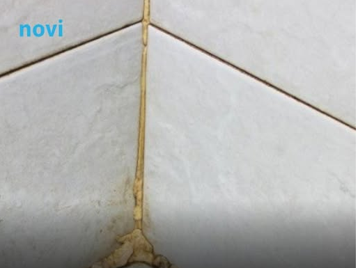 Kako da očistite ćoškove u tuš kabini? Razara kamenac, skine svu buđ i pločice čiste kao suza Kako da očistite ćoškove u tuš kabini? Razara kamenac, skine svu buđ i pločice čiste kao suza