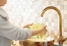 Kako se pravilno pere mladi kupus: Jedino je siguran za jelo opran na ovaj način Kako se pravilno pere mladi kupus: Jedino je siguran za jelo opran na ovaj način