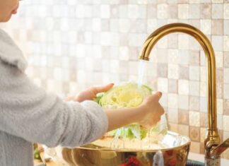 Kako se pravilno pere mladi kupus: Jedino je siguran za jelo opran na ovaj način Kako se pravilno pere mladi kupus: Jedino je siguran za jelo opran na ovaj način