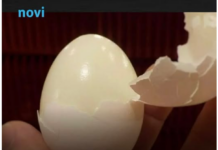 Kuhana jaja se ljušte u jednom potezu: Samo dodajte 1 sastojak u vodu i ljuska spada sama Kuhana jaja se ljušte u jednom potezu: Samo dodajte 1 sastojak u vodu i ljuska spada sama
