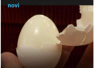 Kuhana jaja se ljušte u jednom potezu: Samo dodajte 1 sastojak u vodu i ljuska spada sama Kuhana jaja se ljušte u jednom potezu: Samo dodajte 1 sastojak u vodu i ljuska spada sama