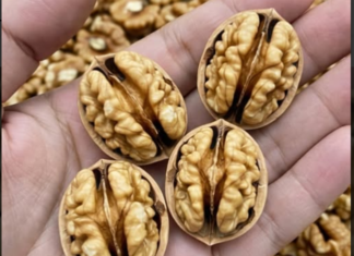 Ljekari otkrivaju: Šta jedenje oraha može učiniti za vaše zdravlje Ljekari otkrivaju: Šta jedenje oraha može učiniti za vaše zdravlje