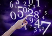 Ljudi rođeni na ovaj datum su stvoreni da budu vođe: Kao po nekom pravilu, svi ih slušaju i poštuju Ljudi rođeni na ovaj datum su stvoreni da budu vođe: Kao po nekom pravilu, svi ih slušaju i poštuju