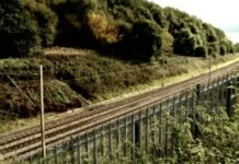 Majka otišla u spavaću sobu da probudi ćerku, ali je zatekla prazan krevet i jezivu poruku: Bila je to sasvim obična noć koja će se pretvoriti u košmar Majka otišla u spavaću sobu da probudi ćerku, ali je zatekla prazan krevet i jezivu poruku: Bila je to sasvim obična noć koja će se pretvoriti u košmar