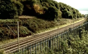 Majka otišla u spavaću sobu da probudi ćerku, ali je zatekla prazan krevet i jezivu poruku: Bila je to sasvim obična noć koja će se pretvoriti u košmar Majka otišla u spavaću sobu da probudi ćerku, ali je zatekla prazan krevet i jezivu poruku: Bila je to sasvim obična noć koja će se pretvoriti u košmar