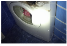 Mnogi prave ovu grešku: Ne palite veš mašinu 2 puta zaredom, evo i zašto Mnogi prave ovu grešku: Ne palite veš mašinu 2 puta zaredom, evo i zašto