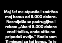 “Moj šef me otpustio i zadržao moj bonus od 8.000 dolara.” “Moj šef me otpustio i zadržao moj bonus od 8.000 dolara.”