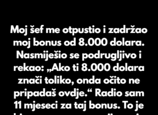 “Moj šef me otpustio i zadržao moj bonus od 8.000 dolara.” “Moj šef me otpustio i zadržao moj bonus od 8.000 dolara.”