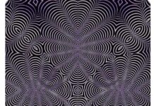 Na ovoj slici se kriju dvije životinje, prva koju uočite otkriva vašu najskriveniju osobinu Na ovoj slici se kriju dvije životinje, prva koju uočite otkriva vašu najskriveniju osobinu