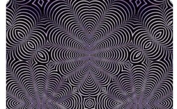 Na ovoj slici se kriju dvije životinje, prva koju uočite otkriva vašu najskriveniju osobinu Na ovoj slici se kriju dvije životinje, prva koju uočite otkriva vašu najskriveniju osobinu