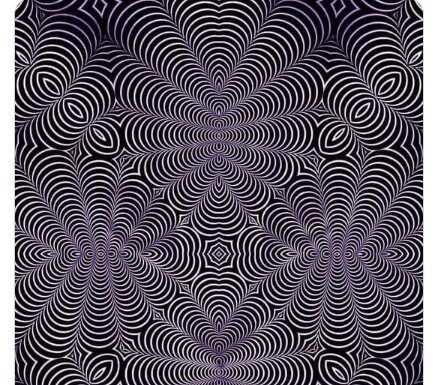 Na ovoj slici se kriju dvije životinje, prva koju uočite otkriva vašu najskriveniju osobinu Na ovoj slici se kriju dvije životinje, prva koju uočite otkriva vašu najskriveniju osobinu