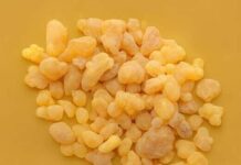 Nakon ovoga, sigurno ćete početi koristiti TAMJAN! Otkrijte tajnu zdravlja o kojoj svi pričaju! Nakon ovoga, sigurno ćete početi koristiti TAMJAN! Otkrijte tajnu zdravlja o kojoj svi pričaju!