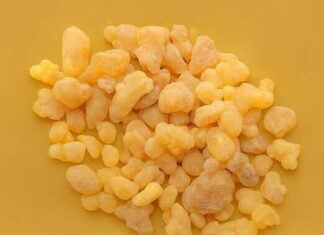 Nakon ovoga, sigurno ćete početi koristiti TAMJAN! Otkrijte tajnu zdravlja o kojoj svi pričaju! Nakon ovoga, sigurno ćete početi koristiti TAMJAN! Otkrijte tajnu zdravlja o kojoj svi pričaju!