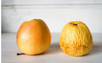 Nemojte bacati stare jabuke: Evo kako ih možete iskoristiti da poboljšate svoje zdravlje Nemojte bacati stare jabuke: Evo kako ih možete iskoristiti da poboljšate svoje zdravlje