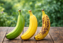 NIKO VAM NIJE REKAO ISTINU O BANANAMA! Boja kore otkriva kada je NAJZDRAVIJA – većina ljudi griješi svaki dan! NIKO VAM NIJE REKAO ISTINU O BANANAMA! Boja kore otkriva kada je NAJZDRAVIJA – većina ljudi griješi svaki dan!