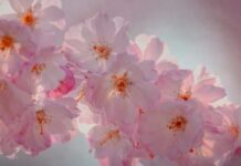 Od 1. APRlLA D0LAZl NAJB0LJE VRlJEME ZA 0VA 3 H0R0SK0PSKA ZNAKA! Od 1. APRlLA D0LAZl NAJB0LJE VRlJEME ZA 0VA 3 H0R0SK0PSKA ZNAKA!