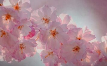 Od 1. APRlLA D0LAZl NAJB0LJE VRlJEME ZA 0VA 3 H0R0SK0PSKA ZNAKA! Od 1. APRlLA D0LAZl NAJB0LJE VRlJEME ZA 0VA 3 H0R0SK0PSKA ZNAKA!