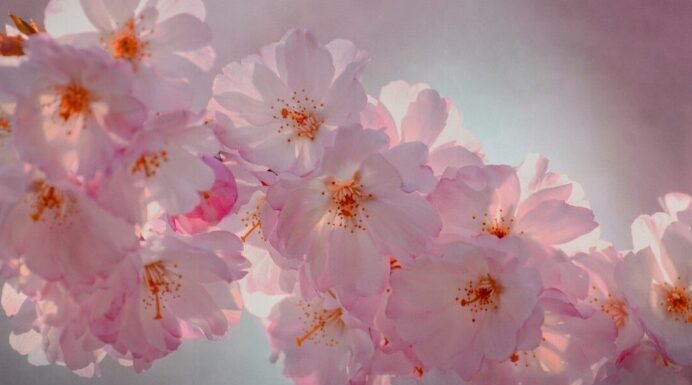 Od 1. APRlLA D0LAZl NAJB0LJE VRlJEME ZA 0VA 3 H0R0SK0PSKA ZNAKA! Od 1. APRlLA D0LAZl NAJB0LJE VRlJEME ZA 0VA 3 H0R0SK0PSKA ZNAKA!