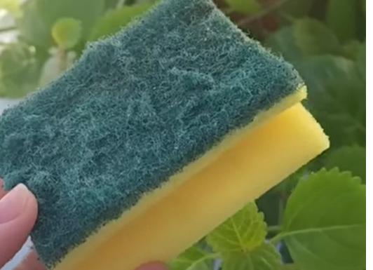 Od otpada do zlata: Nevjerovatna nova namjena starog sunđera! Ovo je trik koji je odusevio svijet” Od otpada do zlata: Nevjerovatna nova namjena starog sunđera! Ovo je trik koji je odusevio svijet”