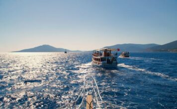 “Otišla sam na odmor sa drugaricama i uključila kameru da vidim da li je kući sve u redu: Dečko mi je rekao da odmara, a kad sam videla snimak, zanemela sam” "Otišla sam na odmor sa drugaricama i uključila kameru da vidim da li je kući sve u redu: Dečko mi je rekao da odmara, a kad sam videla snimak, zanemela sam"