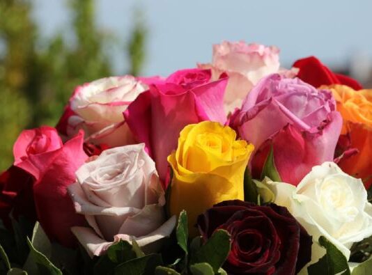 Ovaj cvet se ne poklanja ženama za 8. mart, jer se smatra da donosi nesreću Ovaj cvet se ne poklanja ženama za 8. mart, jer se smatra da donosi nesreću