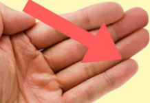 Pogledajte dobro svoje ruke: Dužina malog prsta otkriva vaše najvažnije osobine Pogledajte dobro svoje ruke: Dužina malog prsta otkriva vaše najvažnije osobine