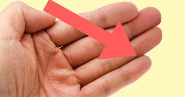 Pogledajte dobro svoje ruke: Dužina malog prsta otkriva vaše najvažnije osobine Pogledajte dobro svoje ruke: Dužina malog prsta otkriva vaše najvažnije osobine