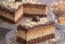 POSNA PLAZMA TORTA KOJA SE TOPI KAO SLADOLED, jednom probaš, zauvek pamtiš! POSNA PLAZMA TORTA KOJA SE TOPI KAO SLADOLED, jednom probaš, zauvek pamtiš!