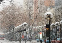 Snijeg prekrio New York: Central Park zablistao u pravoj zimskoj idili Snijeg prekrio New York: Central Park zablistao u pravoj zimskoj idili