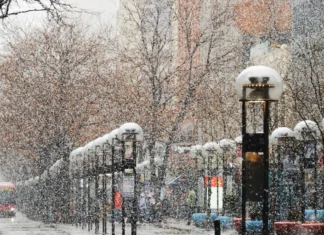 Snijeg prekrio New York: Central Park zablistao u pravoj zimskoj idili Snijeg prekrio New York: Central Park zablistao u pravoj zimskoj idili