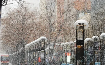 Snijeg prekrio New York: Central Park zablistao u pravoj zimskoj idili Snijeg prekrio New York: Central Park zablistao u pravoj zimskoj idili