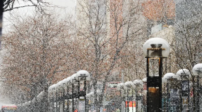Snijeg prekrio New York: Central Park zablistao u pravoj zimskoj idili Snijeg prekrio New York: Central Park zablistao u pravoj zimskoj idili