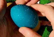 Starinski recept za kuvanje jaja u vinu daje im kristalni sjaj Starinski recept za kuvanje jaja u vinu daje im kristalni sjaj