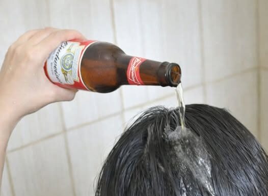 Svaki drugi dan, sipala je FLAŠU PIVA na kosu. Kad pročitate zašto, slijedit ćete njezin primjer! Svaki drugi dan, sipala je FLAŠU PIVA na kosu. Kad pročitate zašto, slijedit ćete njezin primjer!