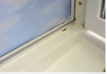 TOP 3 TRIKA DA IZBIJELITE POŽUTJELU PLASTIKU U KUĆI: Vratićete bjelinu za minut TOP 3 TRIKA DA IZBIJELITE POŽUTJELU PLASTIKU U KUĆI: Vratićete bjelinu za minut