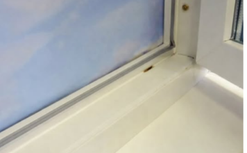 TOP 3 TRIKA DA IZBIJELITE POŽUTJELU PLASTIKU U KUĆI: Vratićete bjelinu za minut TOP 3 TRIKA DA IZBIJELITE POŽUTJELU PLASTIKU U KUĆI: Vratićete bjelinu za minut