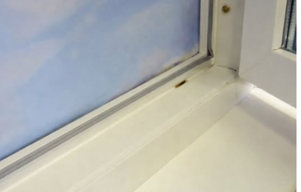 TOP 3 TRIKA DA IZBIJELITE POŽUTJELU PLASTIKU U KUĆI: Vratićete bjelinu za minut TOP 3 TRIKA DA IZBIJELITE POŽUTJELU PLASTIKU U KUĆI: Vratićete bjelinu za minut