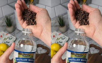 Uzmite čašu sirćeta, običnih karanfilića i dobro sačuvajte ovaj domaći trik: KORISTIM GA GODINAMA I PREPORUČUJEM SVIMA! Uzmite čašu sirćeta, običnih karanfilića i dobro sačuvajte ovaj domaći trik: KORISTIM GA GODINAMA I PREPORUČUJEM SVIMA!