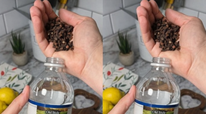 Uzmite čašu sirćeta, običnih karanfilića i dobro sačuvajte ovaj domaći trik: KORISTIM GA GODINAMA I PREPORUČUJEM SVIMA! Uzmite čašu sirćeta, običnih karanfilića i dobro sačuvajte ovaj domaći trik: KORISTIM GA GODINAMA I PREPORUČUJEM SVIMA!