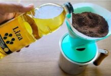 Uzmite obično ulje, ulijte ga u kafu i zapamtite ovaj savjet: Radim to svake godine i preporučujem svima! Uzmite obično ulje, ulijte ga u kafu i zapamtite ovaj savjet: Radim to svake godine i preporučujem svima!